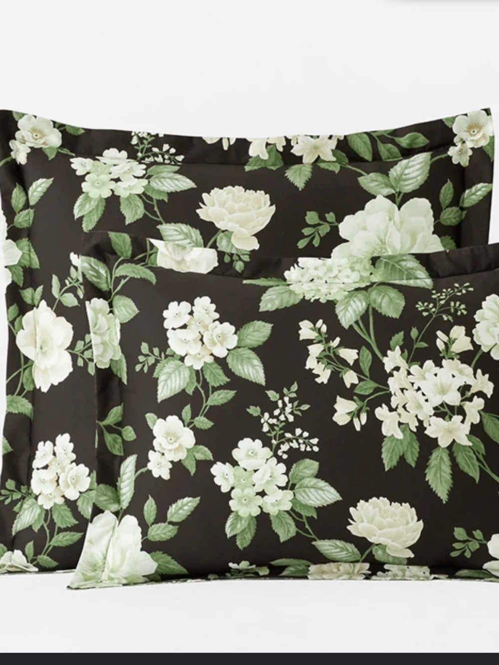 The Company Store Blooming Flowers Black Green Standard Pillow Sham